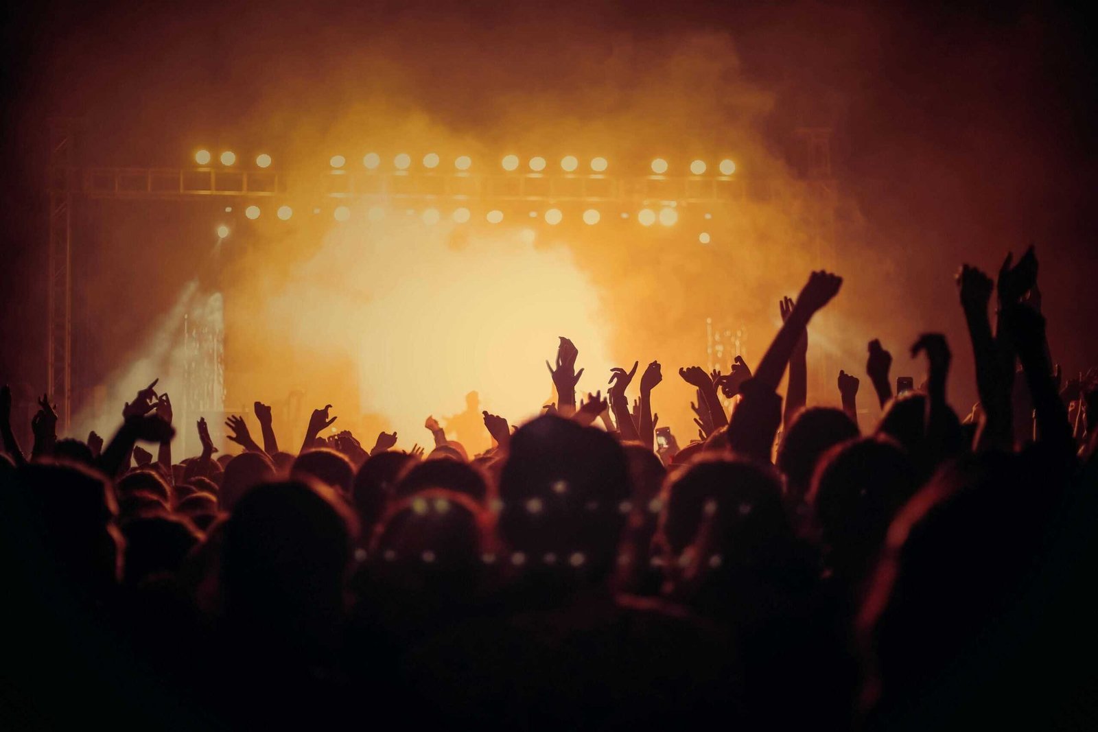 A crowd at a concert